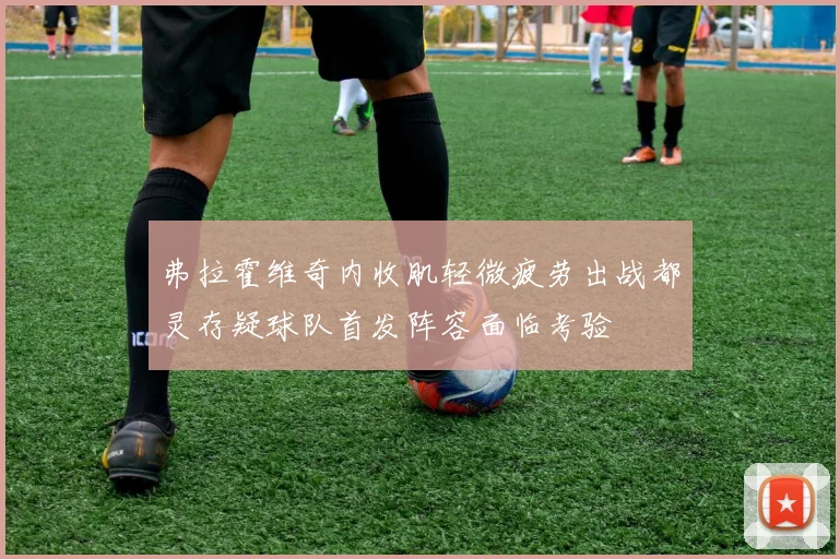 弗拉霍维奇内收肌轻微疲劳出战都灵存疑球队首发阵容面临考验