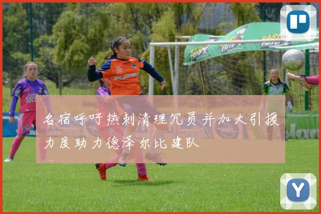 名宿呼吁热刺清理冗员并加大引援力度助力德泽尔比建队